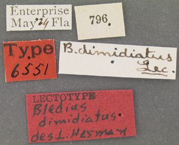 Media type: image;   Entomology 6551 Aspect: labels